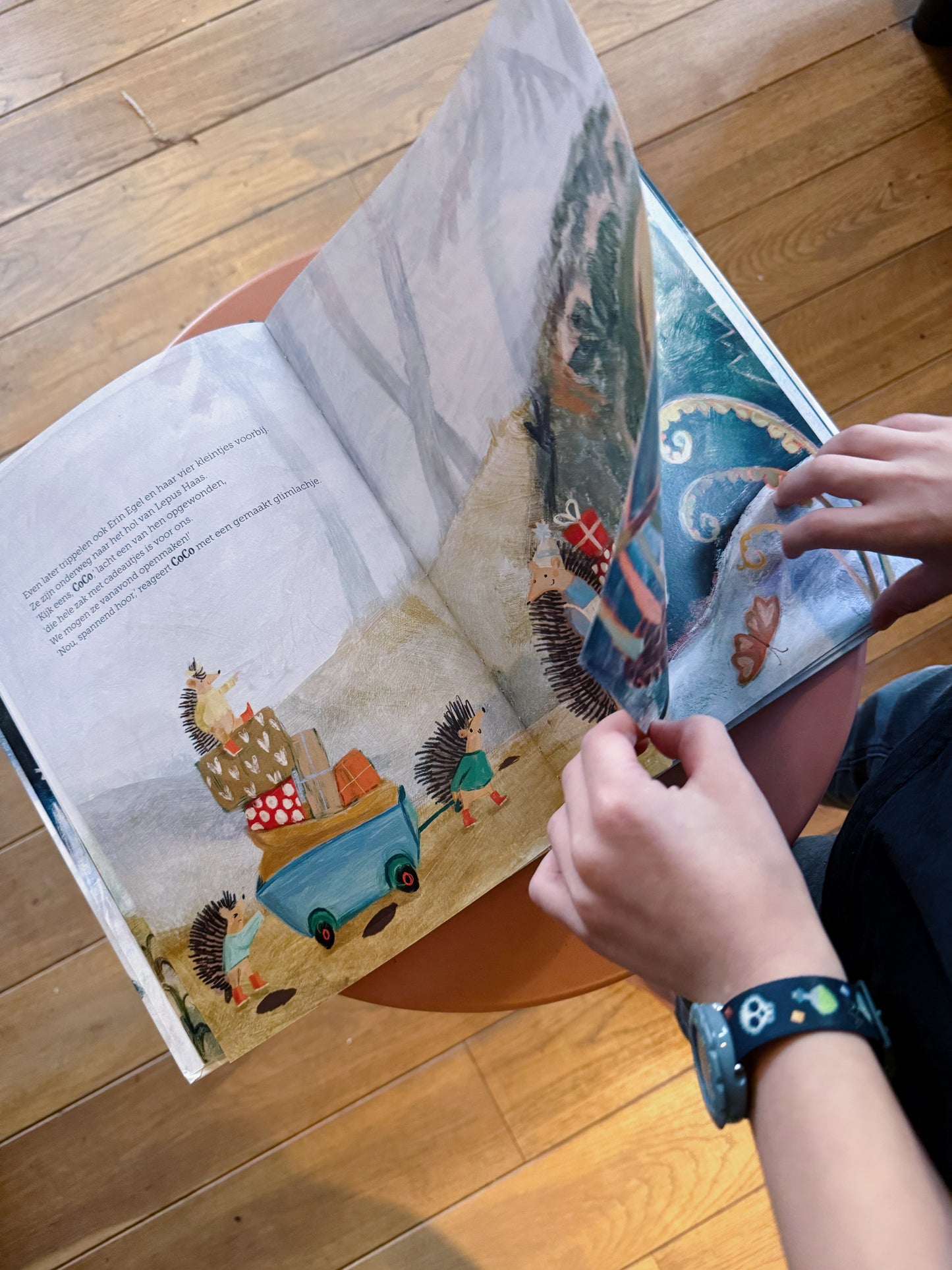 CoCo en het magische kerstfeest - Ann Deckers // illustraties: Nadine de Burlett